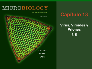 Virus, Viroides y Priones 3-5