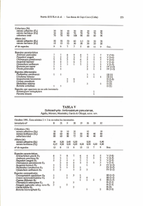 TABLA V Schizachyrio- Ambrosietum peruvianae,