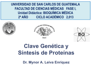 Clave Gen&eacute;tica - Bioqu&iacute;mica-2&deg;A&ntilde;o USAC Guatemala