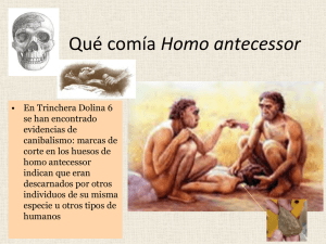 Qué comía Homo antecessor