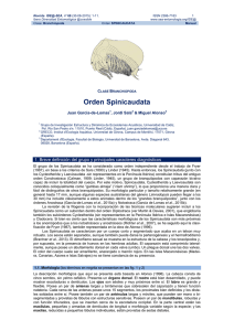 Orden Spinicaudata - Sociedad Entomológica Aragonesa
