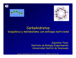 Carbohidratos - IHMC Public Cmaps (3)