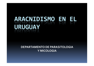 ARACNIDISMO EN EL URUGUAY