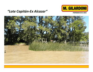 Lote Capitán-Ex Alcazar - Mabel Gilardoni Propiedades