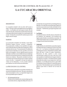 la cucaracha oriental - Orange County Mosquito and Vector Control