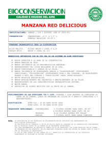 MANZANA RED DELICIOUS