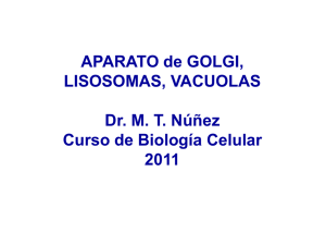 Clase 15 Golgi, lisosomas y vacuolas - U