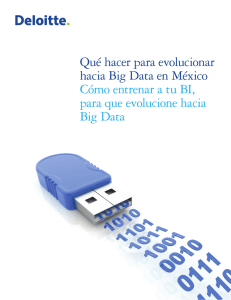 Qué hacer para evolucionar hacia Big Data en México