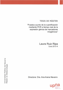 TFM_Laura _Ruiz Ripa - Academica-e