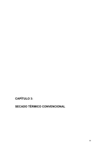 CAPÍTULO 3: SECADO TÉRMICO CONVENCIONAL