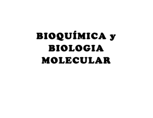Bioquímica y Biología Molecular