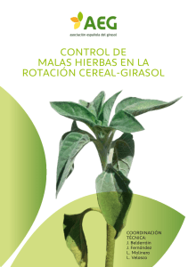 Control de las malas hierbas en la rotación de Cereal