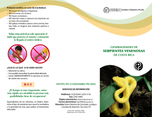 serpientes venenosas 9-1-1 - Instituto Clodomiro Picado
