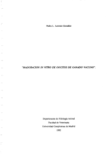&ldquo;MADURA ClON IN VITRO DE OOCITOS DE GANADO VACUNO&rdquo;.