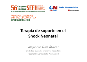 Terapia de soporte en el Shock Neonatal