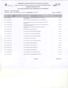 gobierno constitucional del estado de chiapas sria. piel des. fra. sur