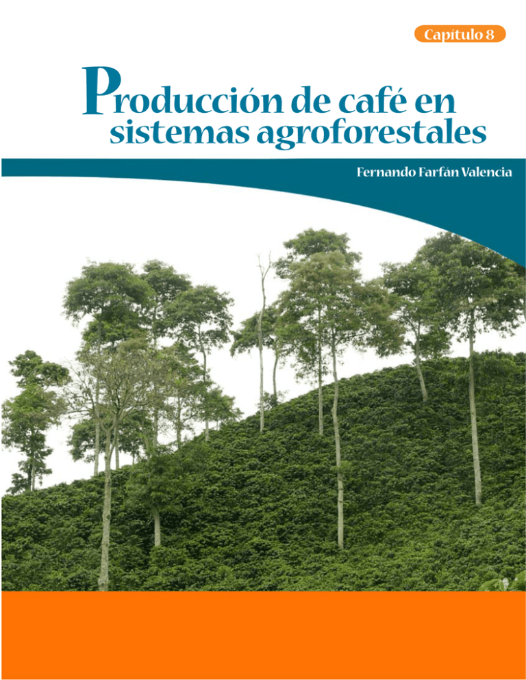 Roducci n De Caf En