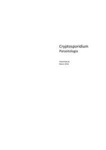 Cryptosporidium parvum - Medicina Holística General
