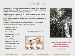 El palmito es la parte comestible de las palmeras de la especie