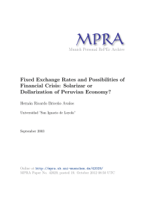 Fixed Exchange Rates and Possibilities of Financial Crisis: Solarizar