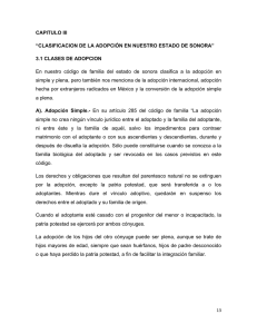 clasificacion de la adopci&oacute;n en nuestro estado de