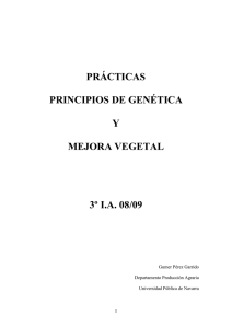 Práctica principios de genetica y mejora 08-09