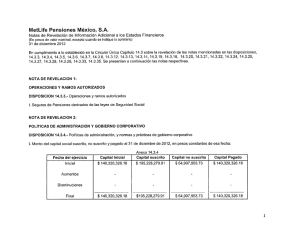 Notas de Revelación de Información Adicional a los