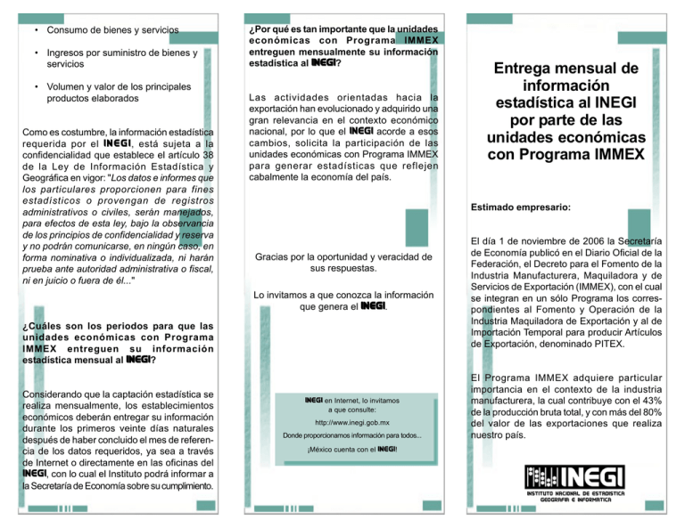 Triptico De La Información Estadística INEGI