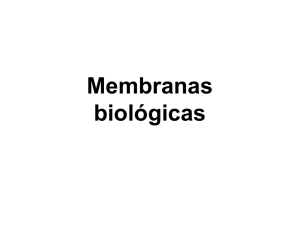 Lípidos de membranas biológicas