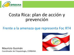 Costa Rica: plan de acción y prevención