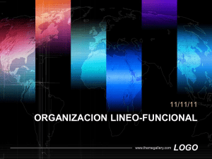 ORGANIZACION LINEO-FUNCIONAL