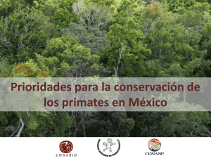 Prioridades para la conservación de los primates en México