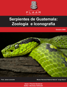 Serpientes de Guatemala: Zoología e Iconografía