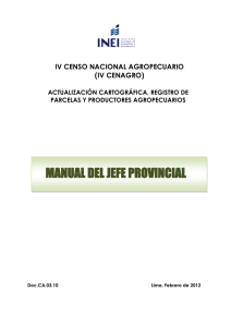 MANUAL DEL JEFE PROVINCIAL