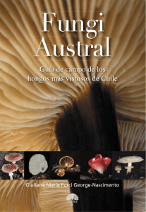 Fungi Austral. Guía de Campo de los hongos más vistosos