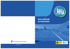 Gu&iacute;a Codificada de Infracciones de Tr&aacute;fico en Espa&ntilde;a