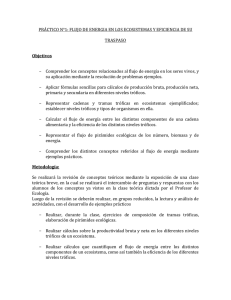 PRÁCTICO N°1: FLUJO DE ENERGIA EN LOS ECOSISTEMAS Y