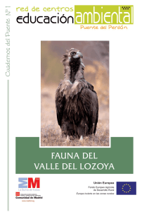 fauna del valle del lozoya