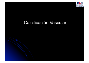 Calcificación Vascular