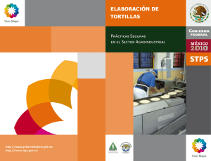 Elaboración de Tortillas - Secretaría del Trabajo y Previsión Social
