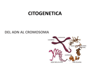 Cromosoma - Blogs de Cátedras de la UNLP