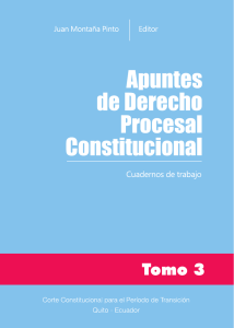 Apuntes de derecho procesal constitucional