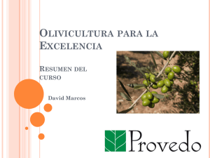 olivicultura para la excelencia