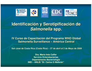 Identificación y Serotipificación de Salmonella spp.