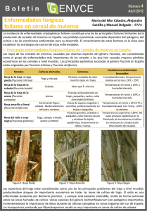boletin-n4-enfermedades-fungicas-foliares-en-cereal-de