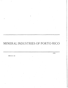 MINERAL INDUSTRIES OF PORTO RICO