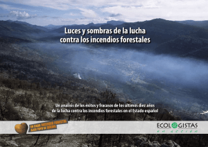 Luces y sombras de la lucha contra los incendios forestales