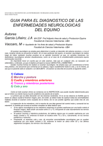 Guía para el Diagnóstico de las Enfermedades Neurológicas