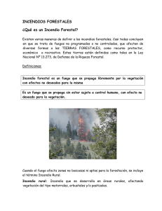INCENDIOS FORESTALES ¿Qué es un Incendio Forestal?
