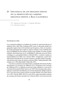 Influencia de los procesos físicos en la producción de carbono